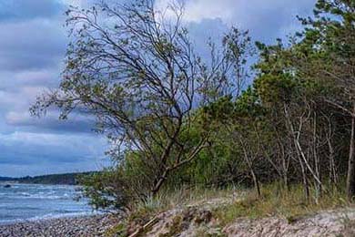 Aster团队配合日益默契，aster team