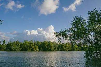 Aster新人多面手表现亮眼，aster手表怎么样